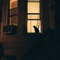 Seven