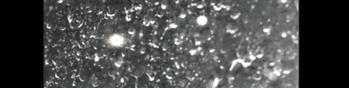 Şeydanur esemes